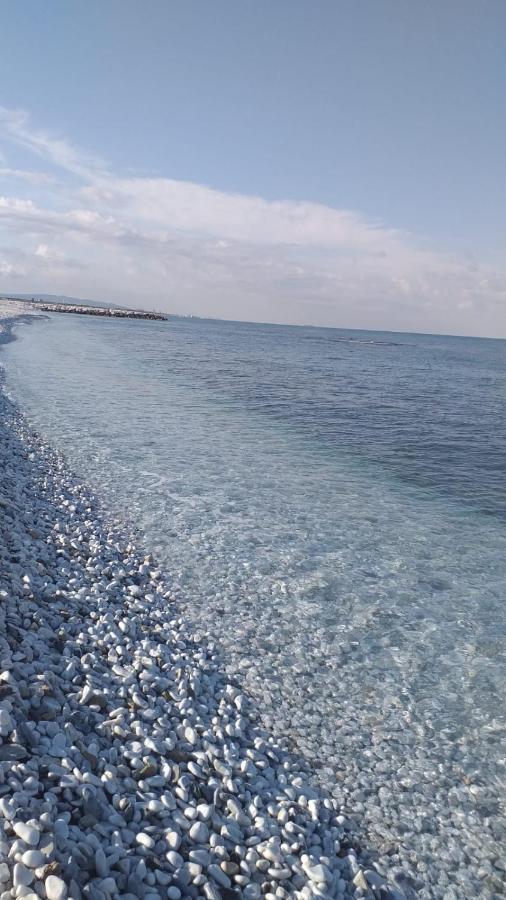 Hotel Affreschi Sul Mare Marina Di Pisa Exteriér fotografie