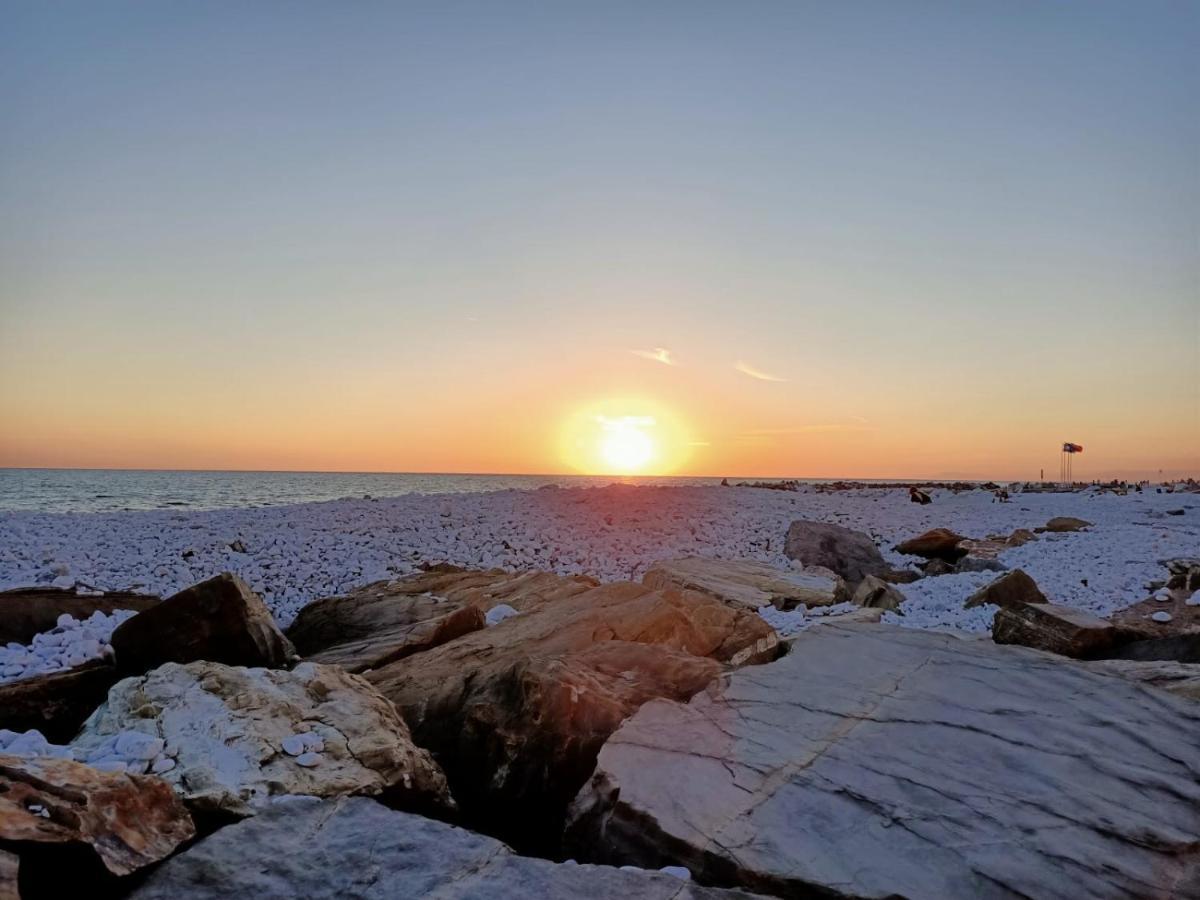Hotel Affreschi Sul Mare Marina Di Pisa Exteriér fotografie
